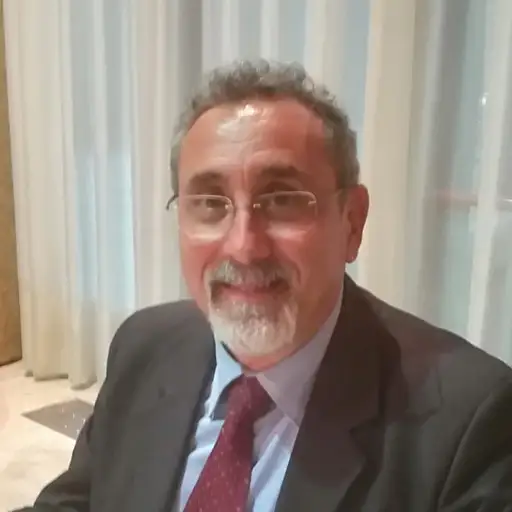 Docente Renato Perrotta